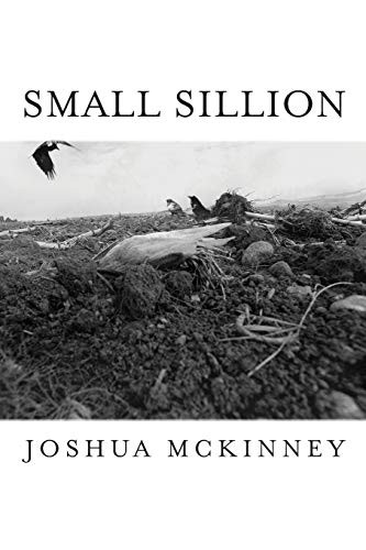 Cover for Small Sillion