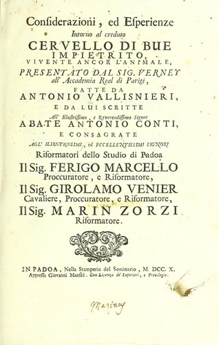 Cover for Considerazioni, ed esperienze intorno al creduto cervello di bue impietrito