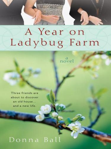 Cover for A Year on Ladybug Farm