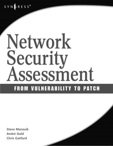 Cover for Network security assessment