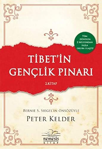 Cover for Tibet'in Genclik Pinari 2. Kitap