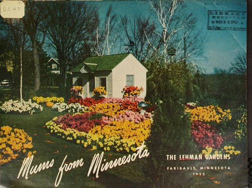 Cover for Mums from Minnesota
