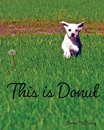Cover for This Is Donut