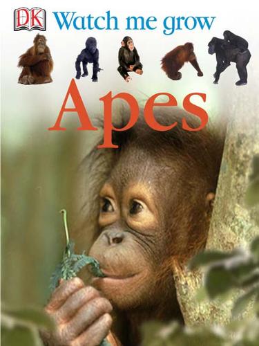 Cover for Ape
