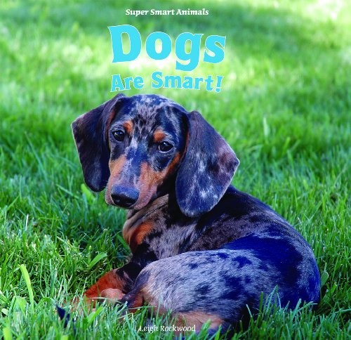 Cover for Dogs are smart!