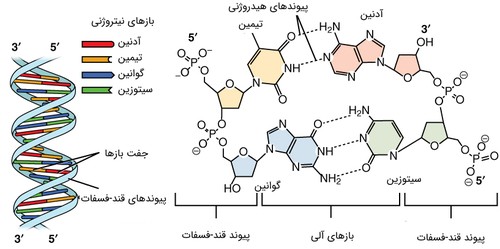 Cover for Topics in Phosphorus Chemistry