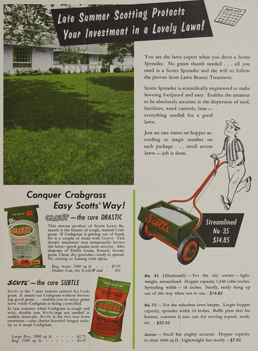 Cover for Late summer Scotting protects your investment in a lovely lawn!