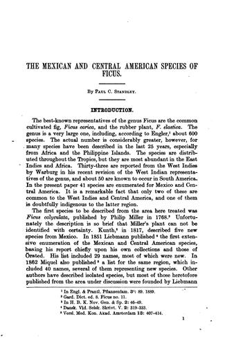Cover for The Mexican and Central American species of Ficus.