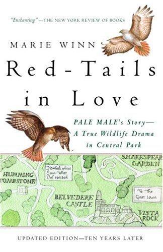 Cover for Red-Tails in Love
