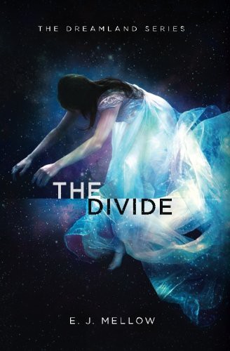 Cover for The Divide