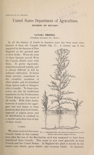 Cover for Canada thistle