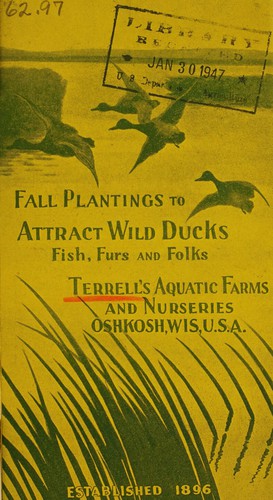 Cover for Fall plantings to attract wild ducks, fish, furs and folks