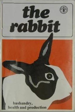 Cover for The Rabbit