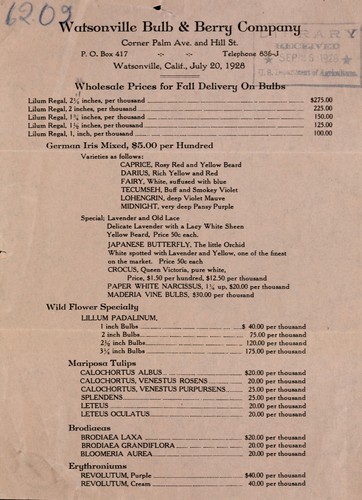 Cover for Wholesale prices for fall delivery on bulbs
