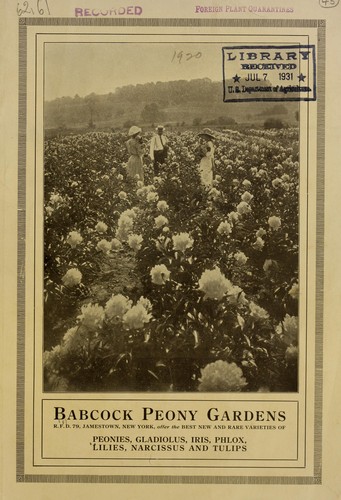 Cover for Babcock Peony Gardens offering the best new and rare varieties of peonies, gladiolus, iris, phlox, lilies, narcissus and tulips