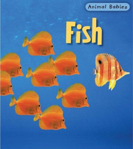 Cover for Fish (Animal Babies)