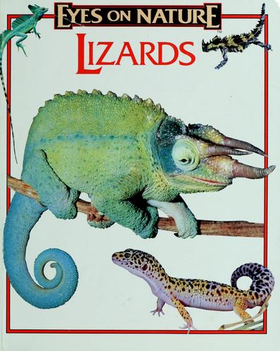 Cover for Lizards