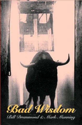 Cover for Bad Wisdom