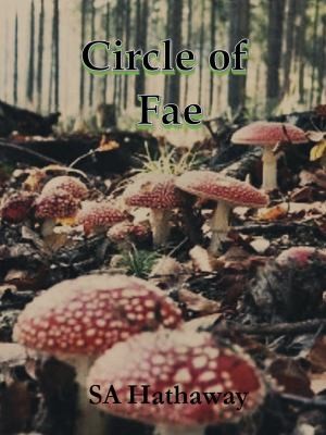 Cover for Circle of Fae