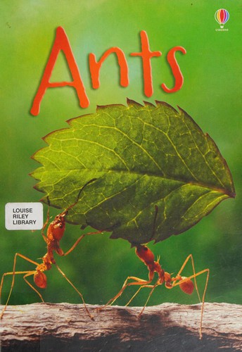 Cover for Ants
