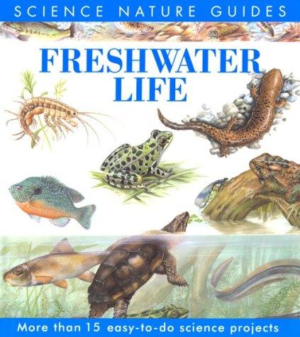 Cover for Freshwater Life (Science Nature Guides)