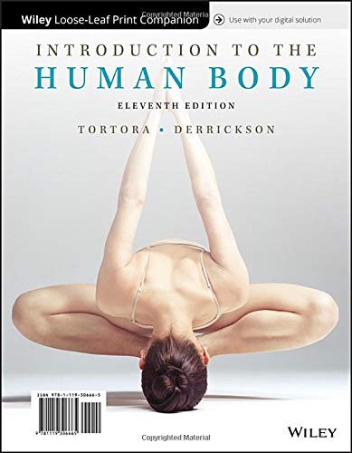Cover for Introduction to the Human Body