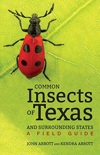 Cover for Common Insects of Texas and Surrounding States
