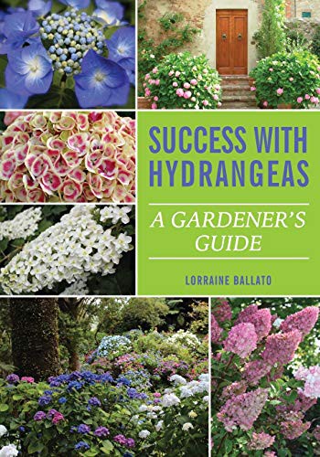 Cover for Success With Hydrangeas