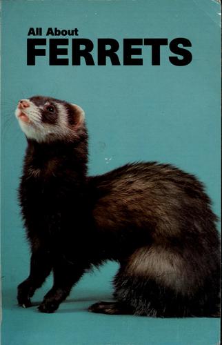 Cover for All about ferrets