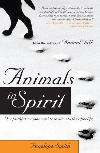 Cover for Animals in Spirit