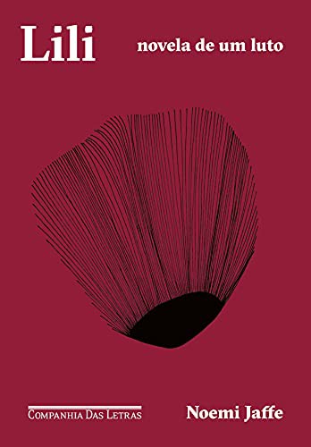 Cover for Lili - Novela de um luto