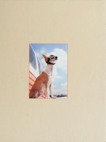 Cover for Carry-ons