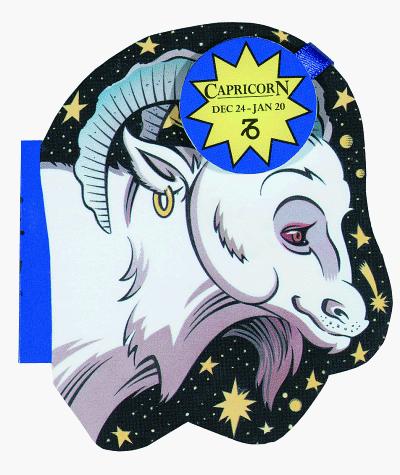 Cover for Capricorn (Zodiac Magnets)