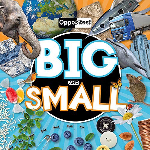 Cover for Big and Small