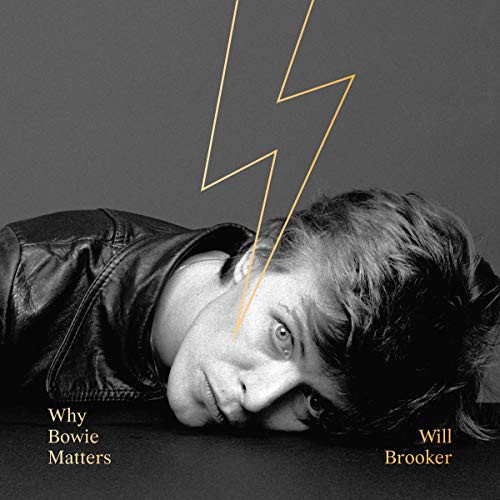 Cover for Why Bowie Matters
