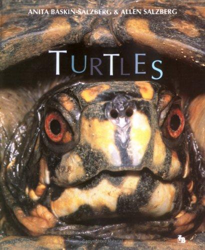 Cover for Turtles (First Books - Animals)