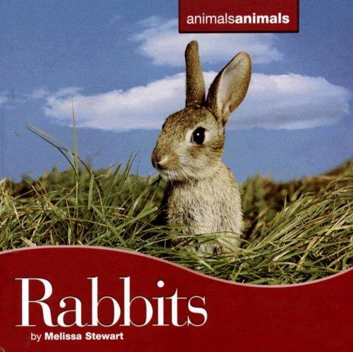 Cover for Rabbits (Animals Animals)
