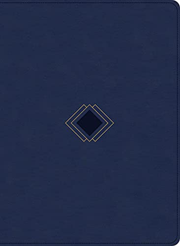 Cover for CSB Day-by-Day Chronological Bible, Navy LeatherTouch