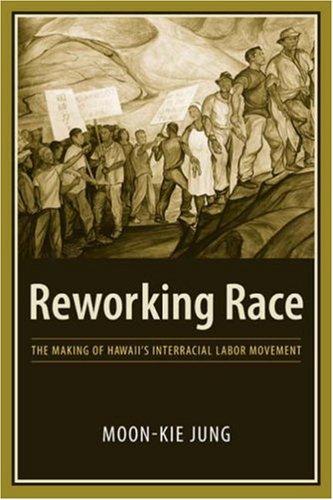 Cover for Reworking Race