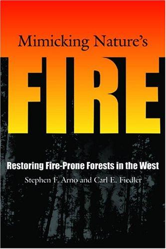 Cover for Mimicking Nature's Fire