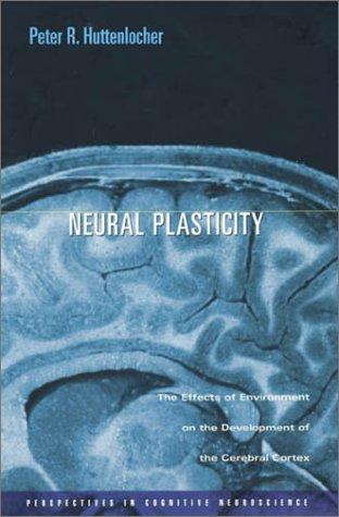 Cover for Neural Plasticity