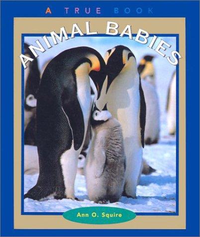 Cover for Animal Babies
