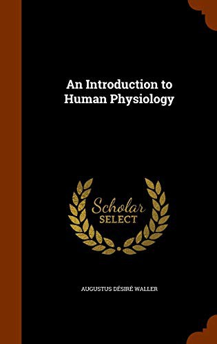 Cover for An Introduction to Human Physiology
