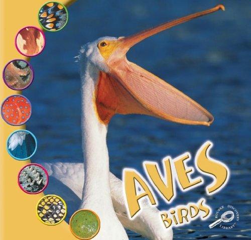 Cover for Aves