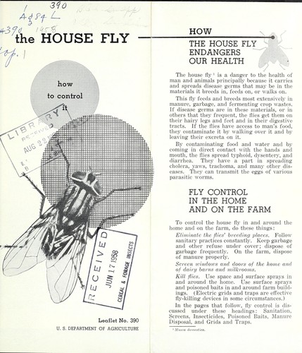 Cover for The house fly