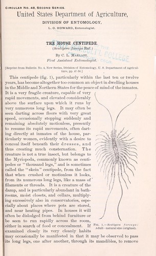 Cover for The house centipede (Scutigera Forceps Raf.)