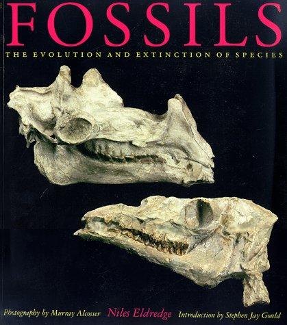 Cover for Fossils