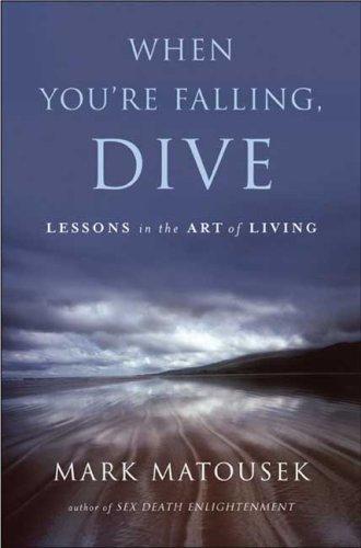 Cover for When You're Falling, Dive