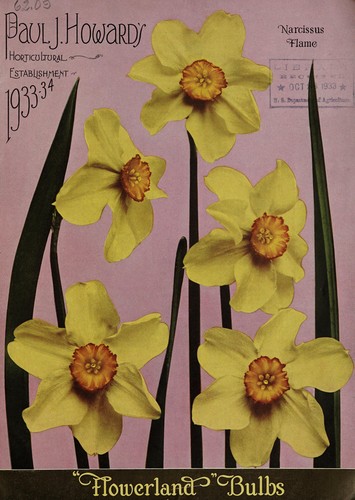 Cover for "Flowerland" bulbs, 1933-34