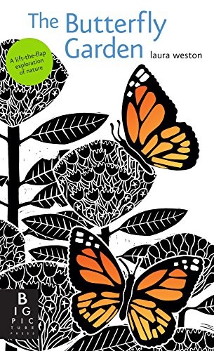 Cover for The butterfly garden